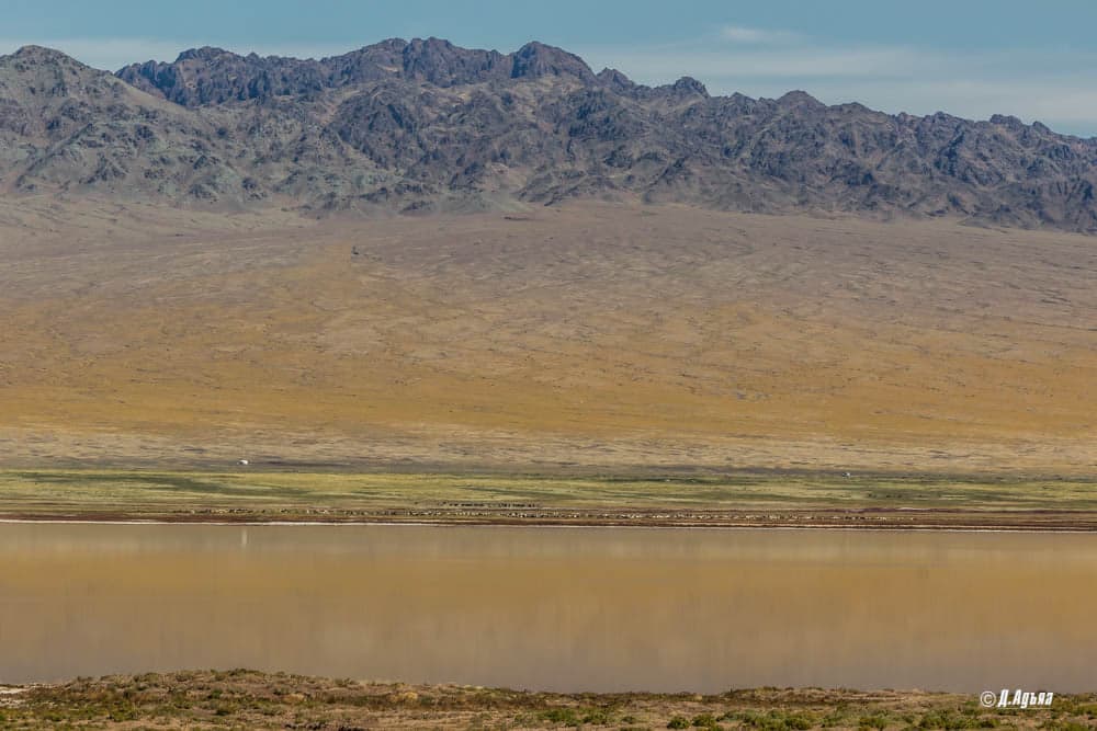 Төхөмийн Цагаан нуур