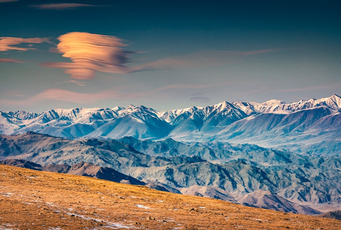 Багийн дарга 3